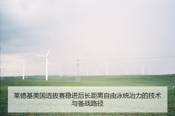 lai-de-ji-mei-guo-xuan-ba-sai-wen-jin-hou-zhang-ju-li-zi-you-yong-tong-zhi-li-de-ji-shu-yu-bei-zhan-lu-jing-2-521.jpg