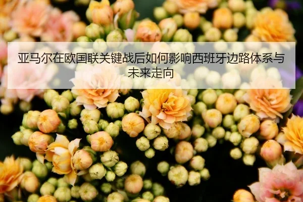 ya-ma-er-zai-ou-guo-lian-guan-jian-zhan-hou-ru-he-ying-xiang-xi-ban-ya-bian-lu-ti-xi-yu-wei-lai-zou-xiang-2-419.jpg