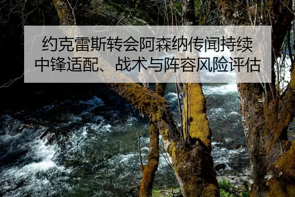 约克雷斯转会阿森纳传闻持续 中锋适配、战术与阵容风险评估